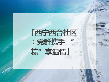 西宁西台社区：党群携手 “粽”享温情