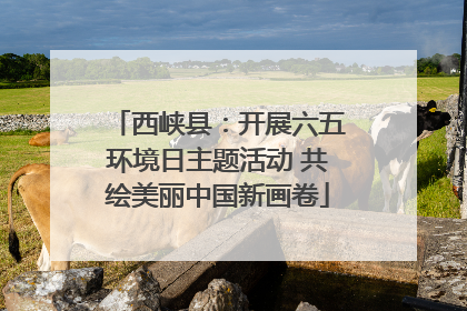 西峡县：开展六五环境日主题活动 共绘美丽中国新画卷