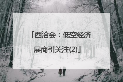 西洽会：低空经济展商引关注(2)
