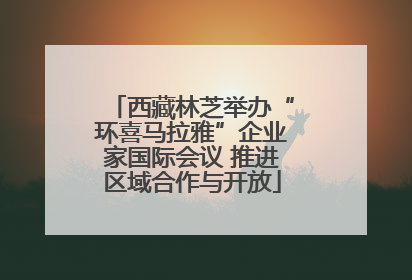 西藏林芝举办“环喜马拉雅”企业家国际会议 推进区域合作与开放