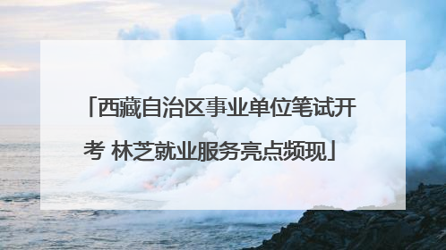 西藏自治区事业单位笔试开考 林芝就业服务亮点频现