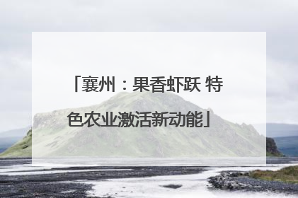 襄州：果香虾跃 特色农业激活新动能