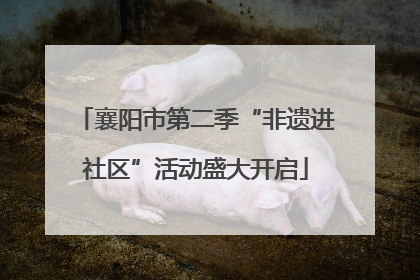襄阳市第二季“非遗进社区”活动盛大开启