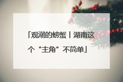 观潮的螃蟹丨湖南这个“主角”不简单