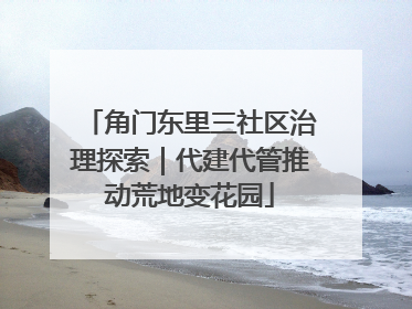 角门东里三社区治理探索｜代建代管推动荒地变花园
