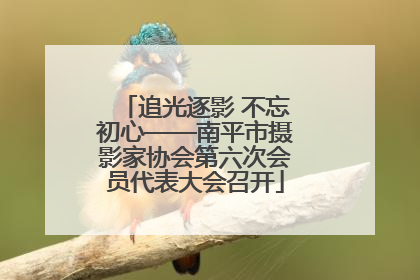 追光逐影 不忘初心——南平市摄影家协会第六次会员代表大会召开
