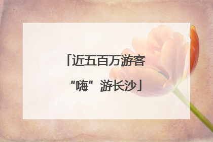 近五百万游客“嗨”游长沙