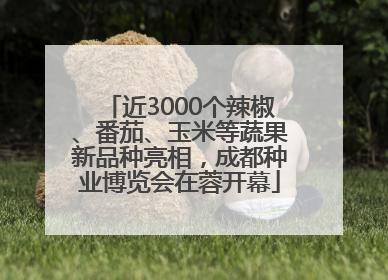 近3000个辣椒、番茄、玉米等蔬果新品种亮相，成都种业博览会在蓉开幕