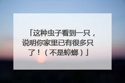 这种虫子看到一只，说明你家里已有很多只了！（不是蟑螂）
