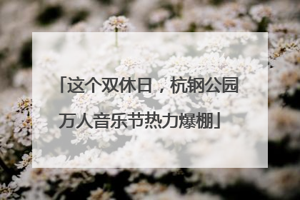 这个双休日，杭钢公园万人音乐节热力爆棚