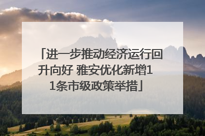 进一步推动经济运行回升向好 雅安优化新增11条市级政策举措