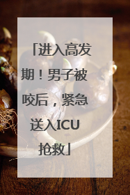 进入高发期！男子被咬后，紧急送入ICU抢救