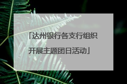 达州银行各支行组织开展主题团日活动