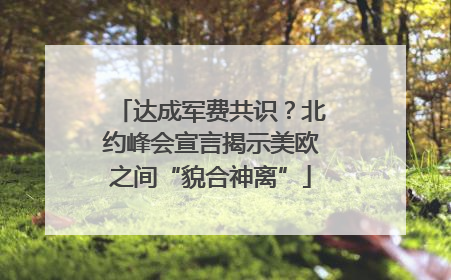 达成军费共识？北约峰会宣言揭示美欧之间“貌合神离”