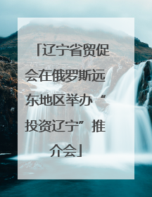 辽宁省贸促会在俄罗斯远东地区举办“投资辽宁”推介会