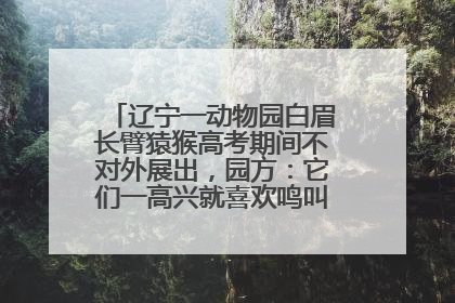 辽宁一动物园白眉长臂猿猴高考期间不对外展出，园方：它们一高兴就喜欢鸣叫，怕影响考试