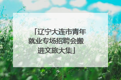 辽宁大连市青年就业专场招聘会搬进文旅大集