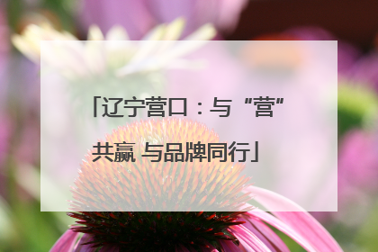 辽宁营口：与“营”共赢 与品牌同行
