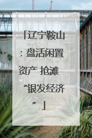 辽宁鞍山：盘活闲置资产 抢滩“银发经济”