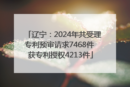 辽宁：2024年共受理专利预审请求7468件 获专利授权4213件