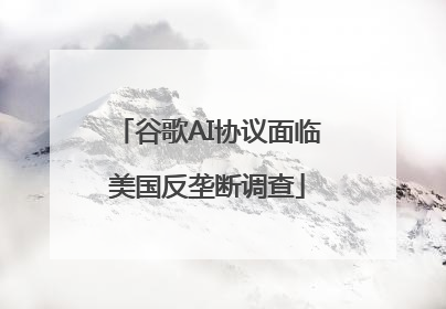 谷歌AI协议面临美国反垄断调查