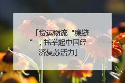 货运物流“稳链”，托举起中国经济复苏活力