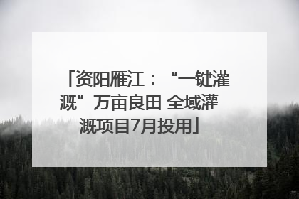 资阳雁江：“一键灌溉”万亩良田 全域灌溉项目7月投用