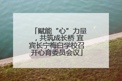 赋能“心”力量，共筑成长桥 宜宾长宁梅白学校召开心育委员会议