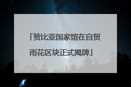 赞比亚国家馆在自贸雨花区块正式揭牌