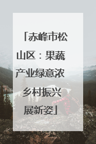 赤峰市松山区：果蔬产业绿意浓 乡村振兴展新姿