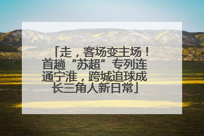 走，客场变主场！首趟“苏超”专列连通宁淮，跨城追球成长三角人新日常