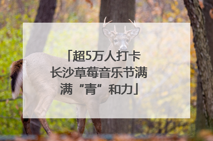 超5万人打卡 长沙草莓音乐节满满“青”和力