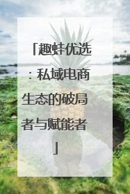 趣蛙优选：私域电商生态的破局者与赋能者