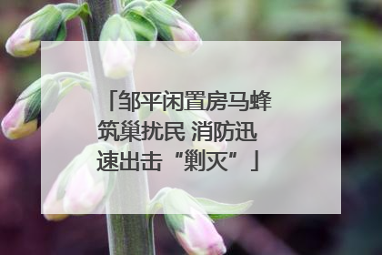 邹平闲置房马蜂筑巢扰民 消防迅速出击“剿灭”