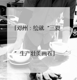 邓州：绘就“三夏”生产壮美画卷