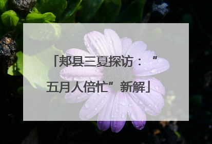 郏县三夏探访：“五月人倍忙”新解