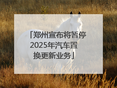 郑州宣布将暂停2025年汽车置换更新业务