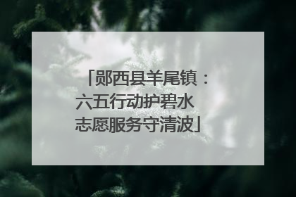 郧西县羊尾镇：六五行动护碧水 志愿服务守清波