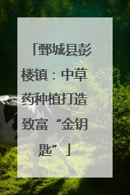 鄄城县彭楼镇：中草药种植打造致富“金钥匙”