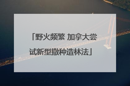 野火频繁 加拿大尝试新型撒种造林法