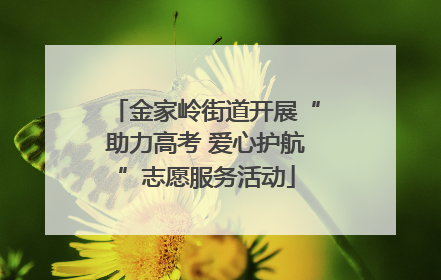 金家岭街道开展“助力高考 爱心护航”志愿服务活动