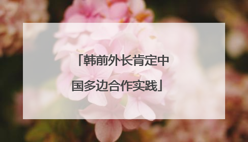 韩前外长肯定中国多边合作实践
