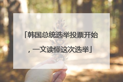 韩国总统选举投票开始，一文读懂这次选举