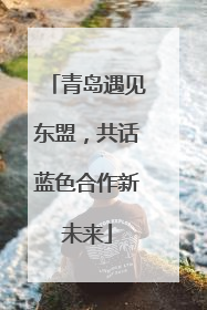 青岛遇见东盟，共话蓝色合作新未来