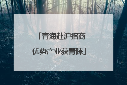 青海赴沪招商 优势产业获青睐