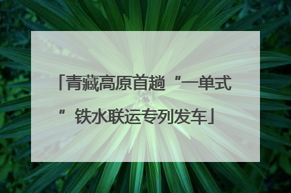 青藏高原首趟“一单式”铁水联运专列发车