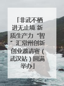 非武不栖 进无止境 新质生产力“智”汇常州创新创业邀请赛（武汉站）圆满举办