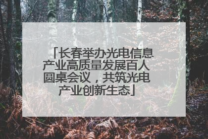 长春举办光电信息产业高质量发展百人圆桌会议，共筑光电产业创新生态
