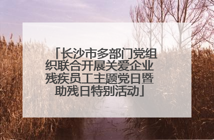 长沙市多部门党组织联合开展关爱企业残疾员工主题党日暨助残日特别活动