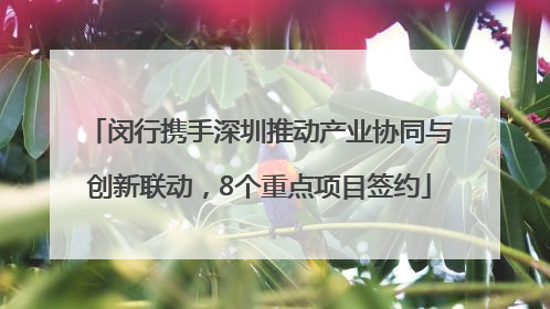 闵行携手深圳推动产业协同与创新联动，8个重点项目签约